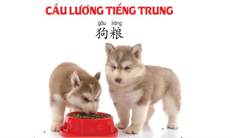 Cẩu lương