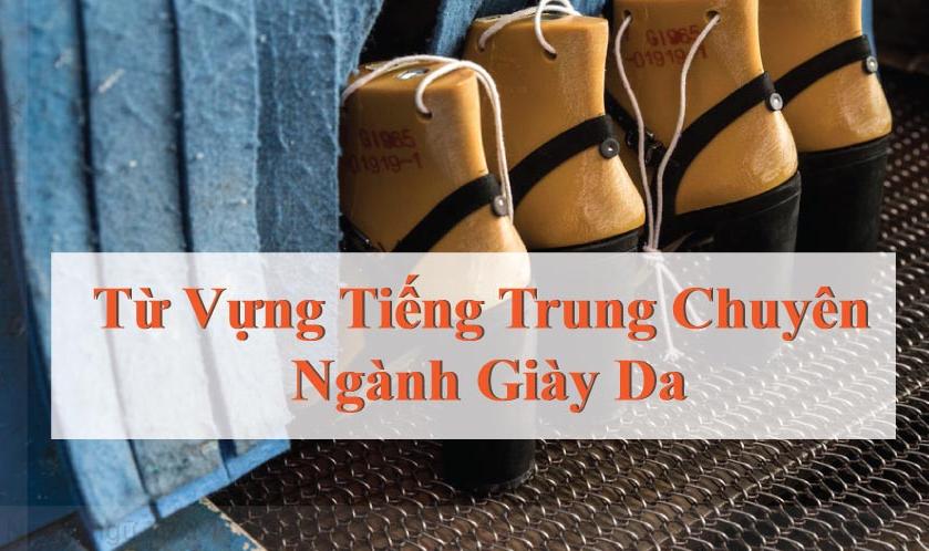 Từ vựng tiếng Trung chuyên ngành giày da | Giày dép tiếng Trung 1 Từ vựng tiếng Trung chuyên ngành giày da